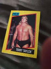 1991 WCW Wrestling Trading Card Terry Taylor #68