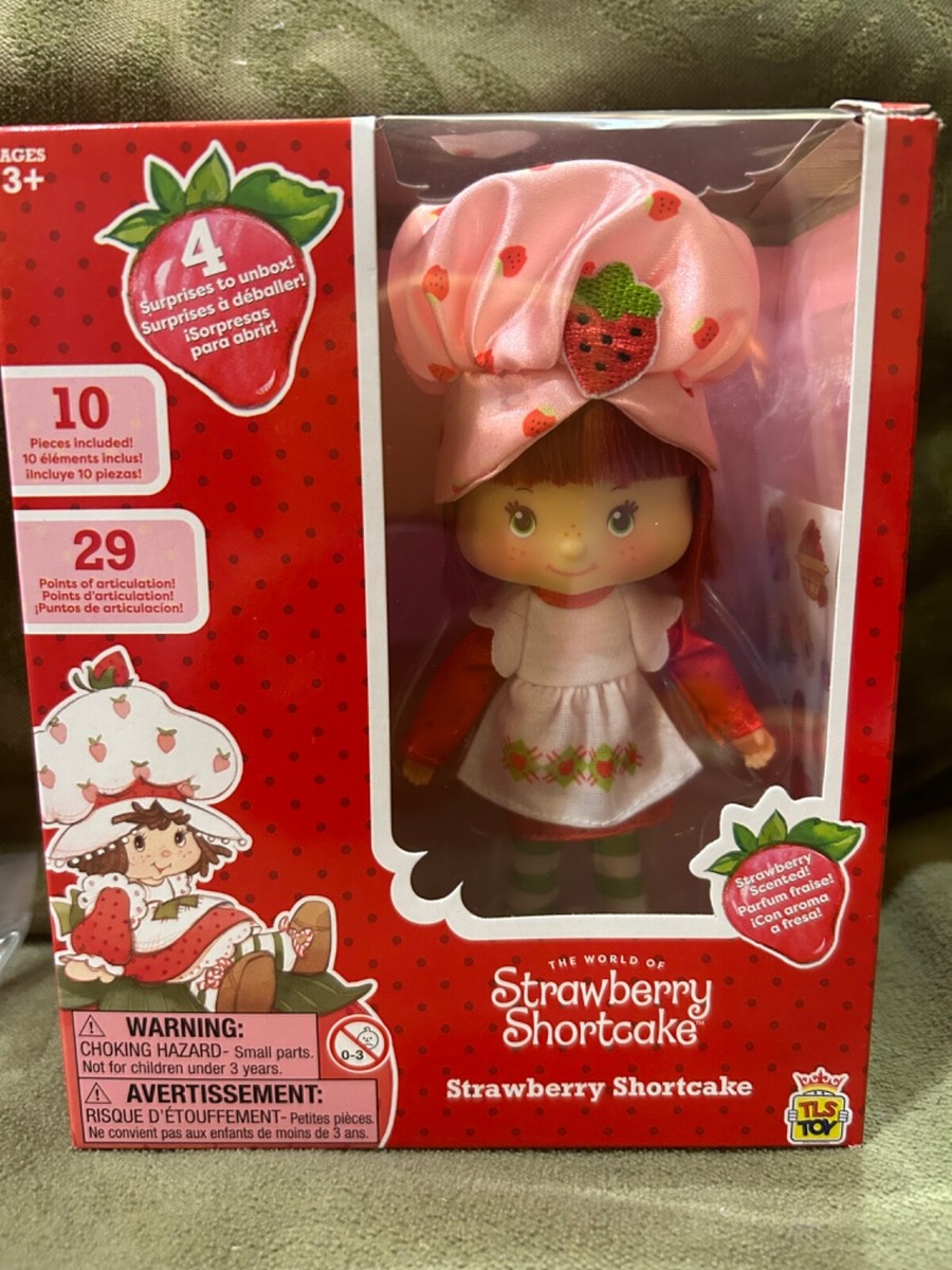 ののさん専用　DORA 、Diego、リトルアインシュタイン　セット Dora The Explorer Adventure Doll - rocker : Amazon.sg: Toys