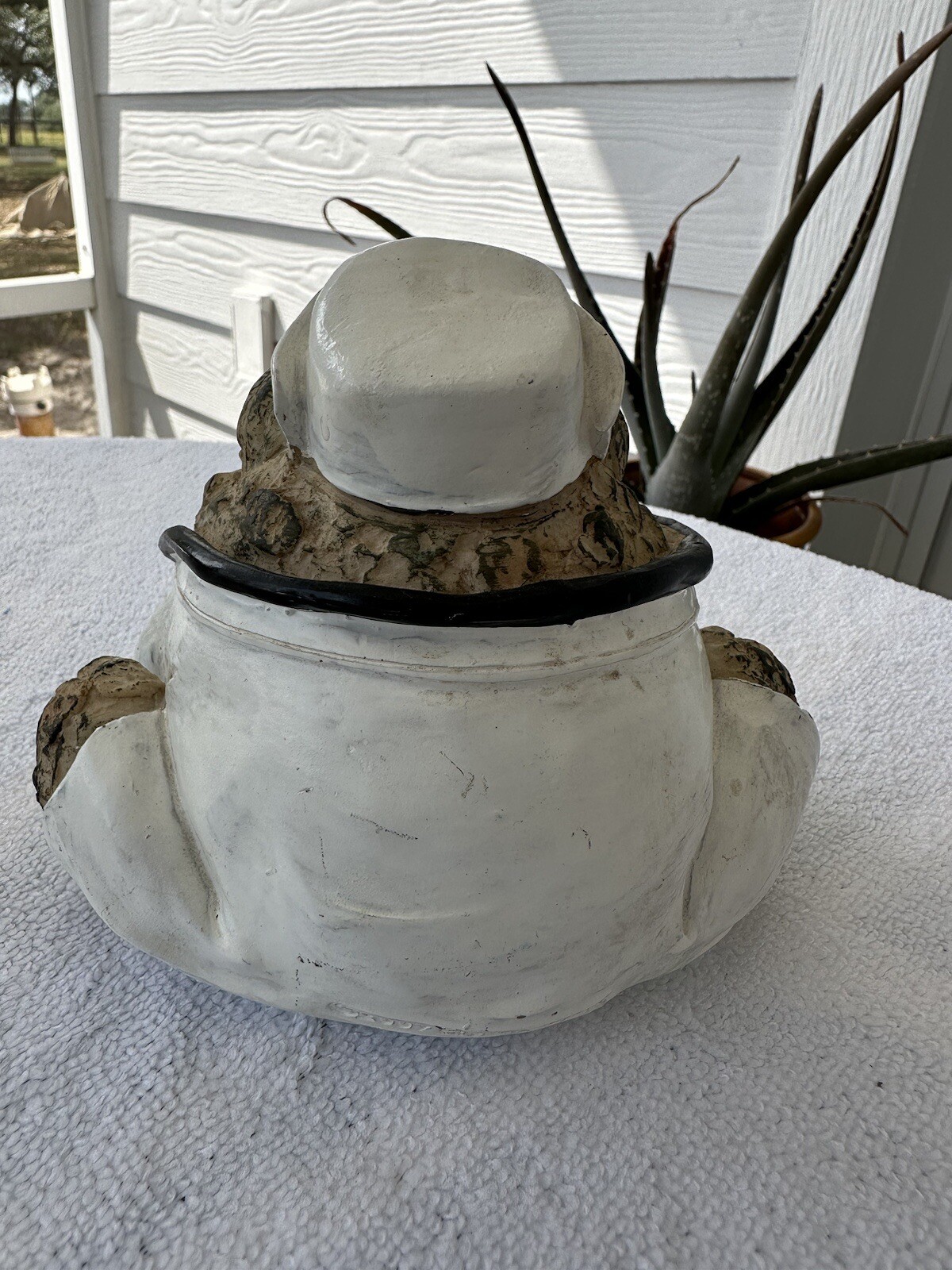 Picture 10 of 11