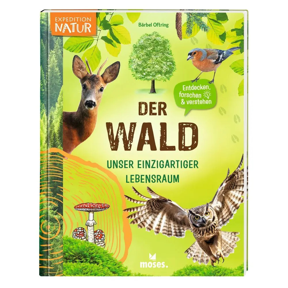 Bärbel Oftring ~ Der Wald - Bild 2