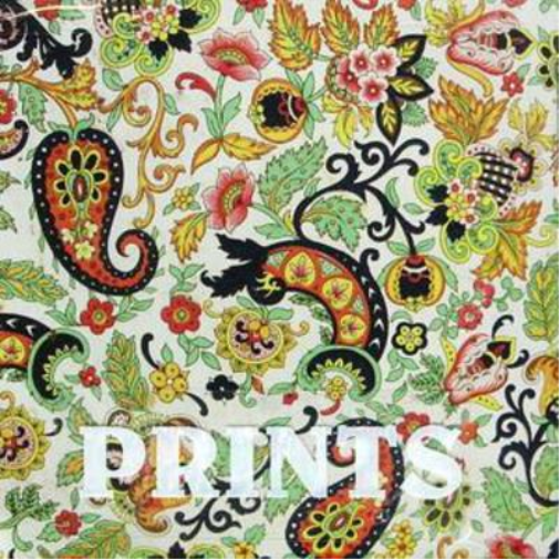 Prints Prints (CD) Album