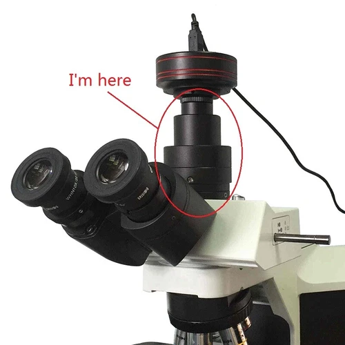 0.35X-1X C-Mount Camera Adapter Reduction Lens for Trinocular Olympus Microscope - Picture 9 of 20