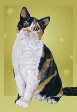 Calico Cat Christmas Cards Set of 10 cards  10 envelopes