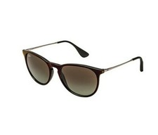 Ray-Ban ORB4171 Women's Erika Wayfarer Sunglasses - Curly Dani, Inc.