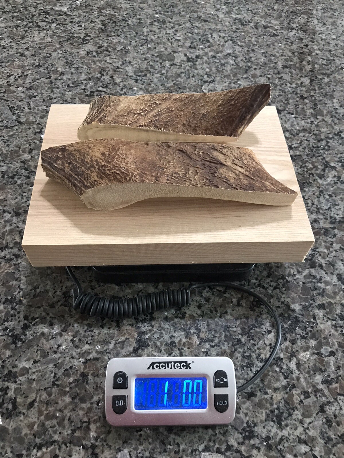 1 Pound of Northern Maine Moose Antler Dog Chews! Organic! Treats