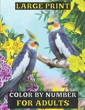 101 Color By Number Adult Coloring Book Large Print Easy Designs
