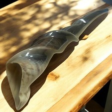 Rare Eland Shofar Kosher Large 22'' 56cm Kosher From Israel  BEST PRICE