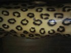 Bild 8 von 11