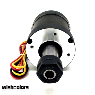 900W ER20 AC 220V (WS55-310A) 6000RPM Brushless Spindle Motor for Drilling wis
