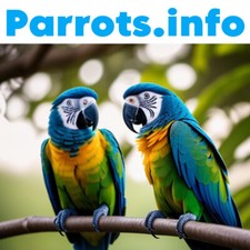 Parrots.info - ONE WORD DOMAIN NAME - Birds, Pets, Birdie, Parakeet, Parrot