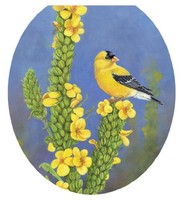 Toilet Tattoos Tt-1046-r Round Gold Finch Toilet Tattoos, New, Free Shipping on sale Toilet Tattoos Tt-1046-r Round Gold Finch Toilet Tattoos, New, Free Shipping on sale