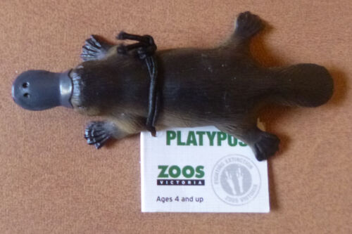 AUSTRALIAN ANIMAL GIFT PLATYPUS LARGE REPLICA Approx 9cm - Picture 1 of 1