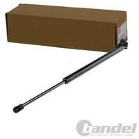 Nty Gasfeder KOFFERRAUM-LIFTER Passend FüR Jeep Grand | AE-CH-021