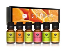 Citrus Set of 6 Fragrance Oils for Candle Making Soap Diffuser Scents