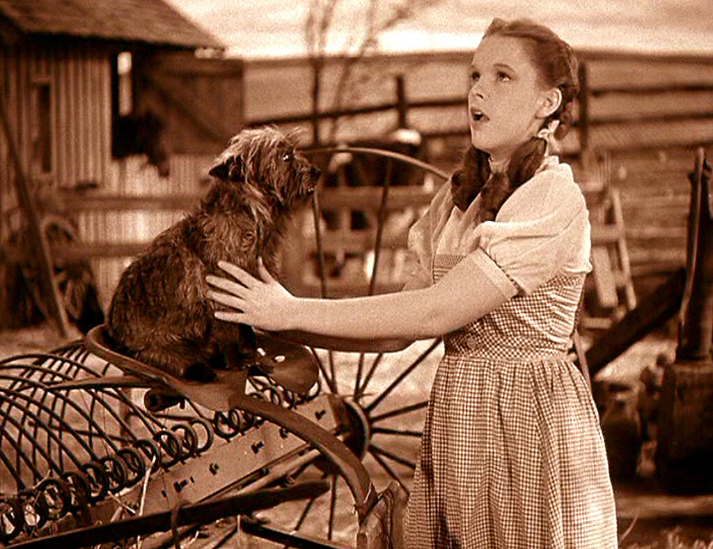 Wizard Of Oz Dorothy And Toto