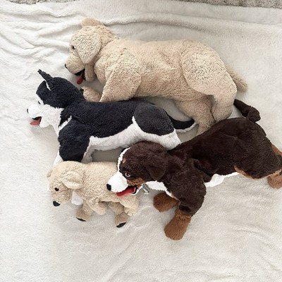 Ikea Dogs Plush Lot Golden Retriever Husky Bernese Mountain Dog