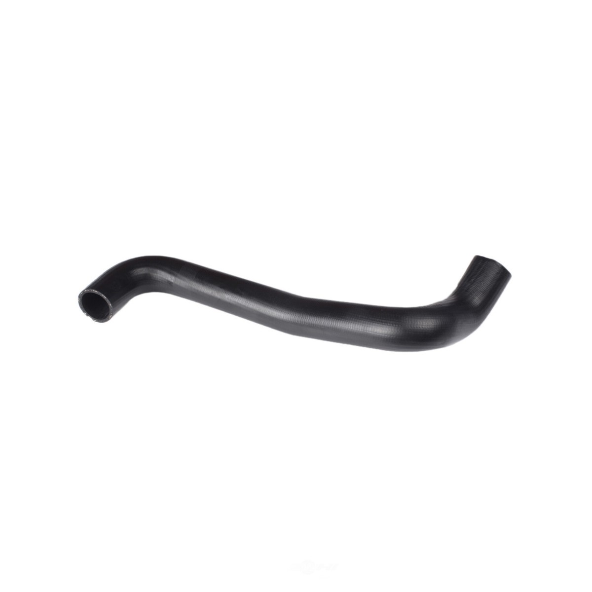Radiator Coolant Hose-Molded Radiator Hose Continental Elite 62250