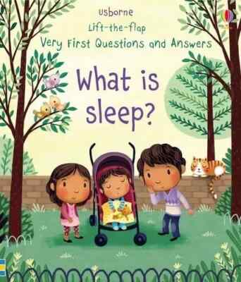 Very First Lift-the-Flap Questions & Answers What ... by Katie Daynes Board book