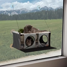 Cat Window Perch Hammock Bed 2 Level with Grass Grow Station Indoor Kitty Sill