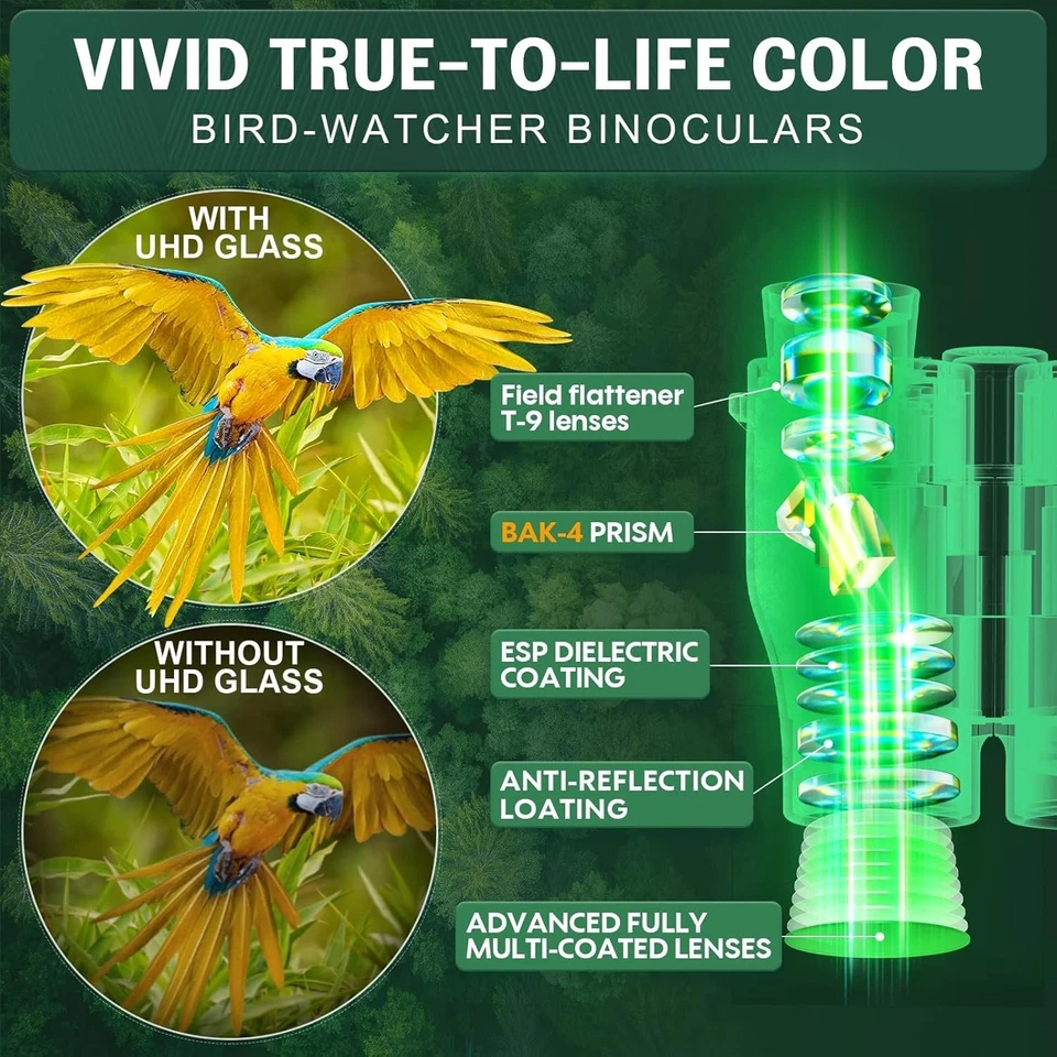 Prismáticos Compactos 16x32 con Visión Clara de Baja Luz Binoculares Negro NUEVO. Foto 4 de 4