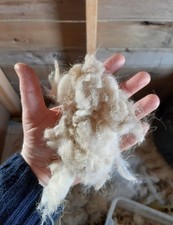 Natural Loft Insulation