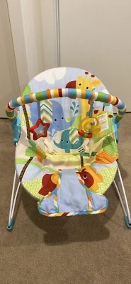 bright starts raindrop rainforest bouncer