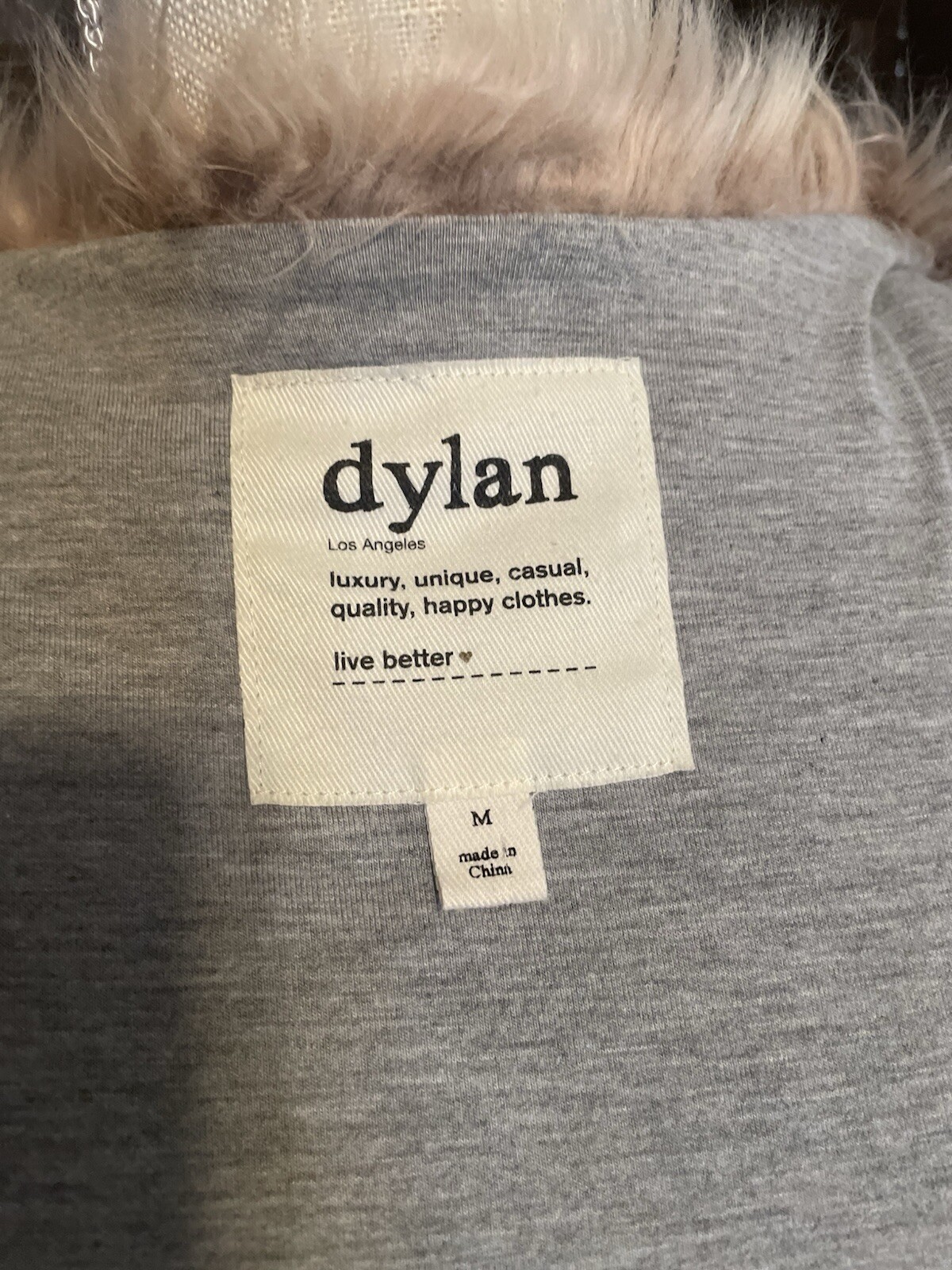 Dylan - image 3