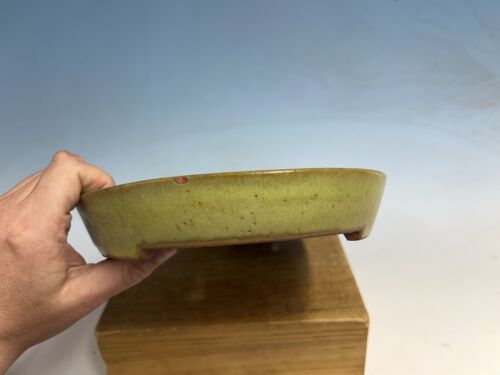 "Maceta de árbol bonsái Tokoname esmaltada amarilla Reiho 14 5/8""" - Imagen 4 de 15