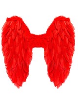 Rote FederflüGel KostüM – Faltbare Engel FlüGel Mit Echten Federn – 50X50 Cm