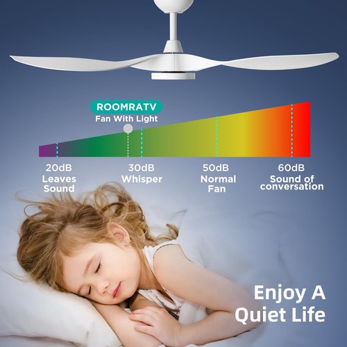 Roomratv Ceiling Fans with Lights,Large Airflow 52inch Modern Ceiling Fan wit... - Picture 8 of 9