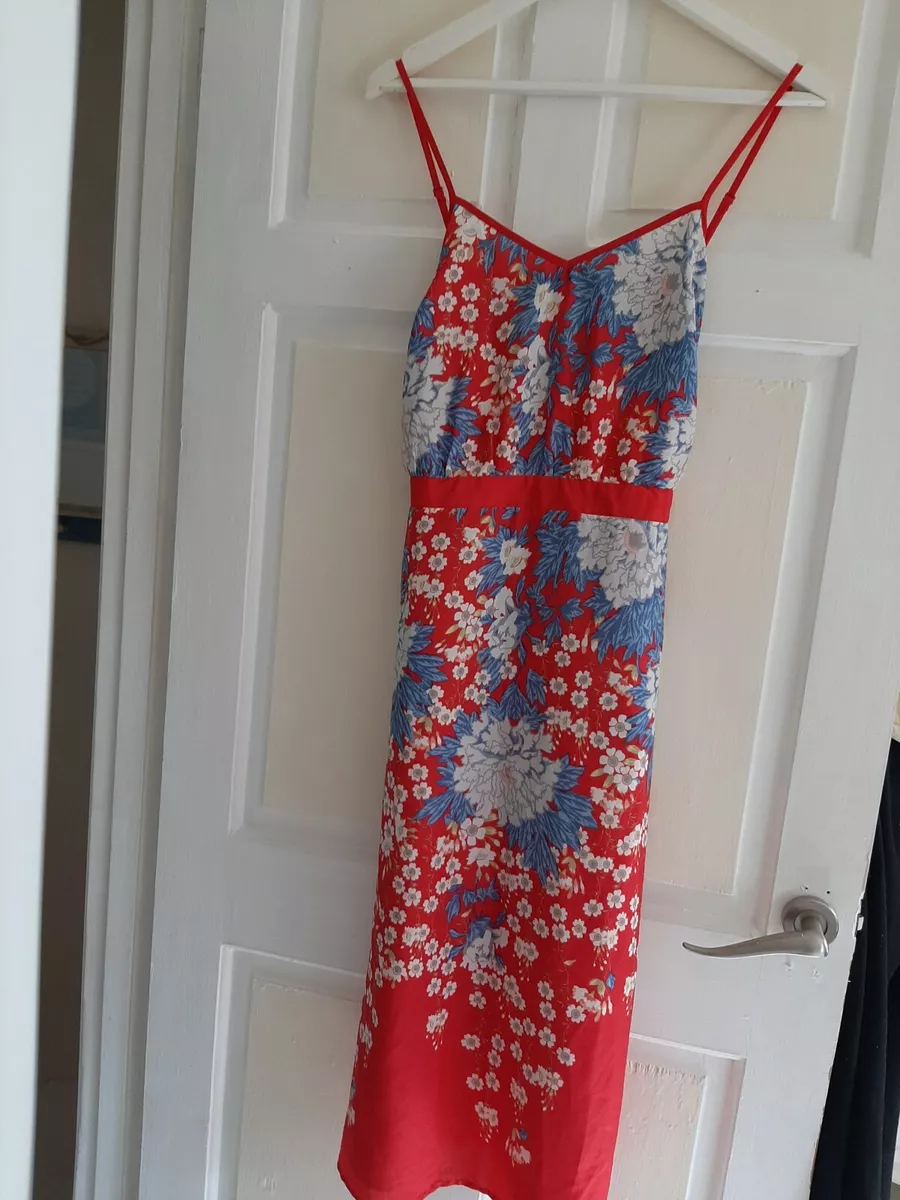 Ebay dorothy sales perkins dress