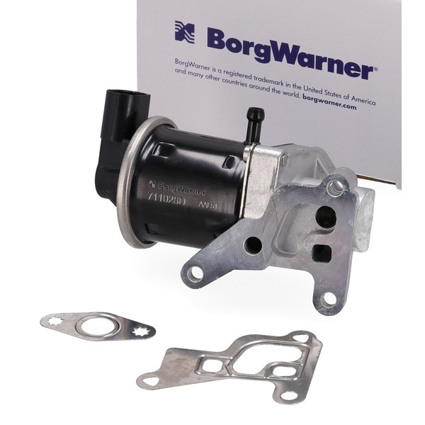 Borgwarner AGR Ventil + Dichtung FüR VW Polo 3 Lupo Arosa Ibiza 2 1.0 030131503F-image