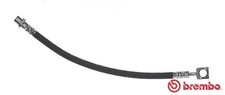 Flexible de frein Opel SIGNUM