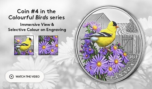 AMERICAN GOLDFINCH 2024 CANADA 1oz .9999 Pure Silver $20 Coin #4 in Birds Series - Picture 6 of 6