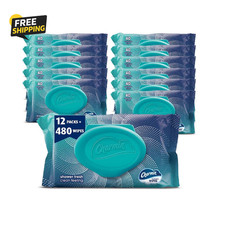 Flushable Wipes, 480 Total Wipes 12 Packs of 40 