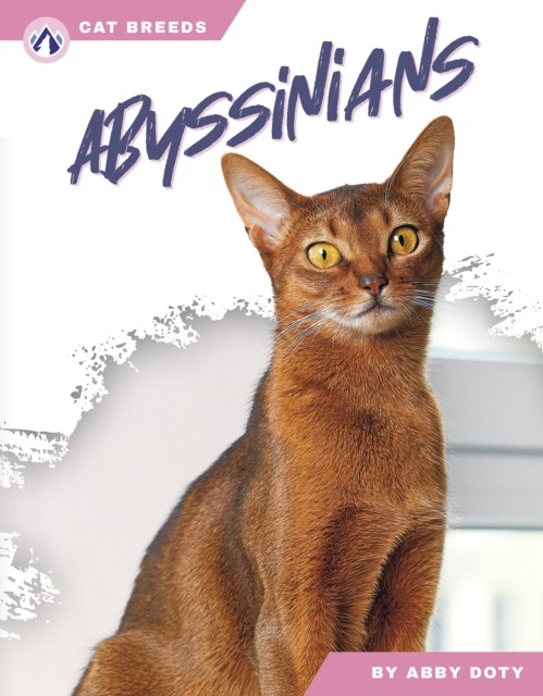 Abyssinians by Abby Doty PAPERBACK 9798892503433