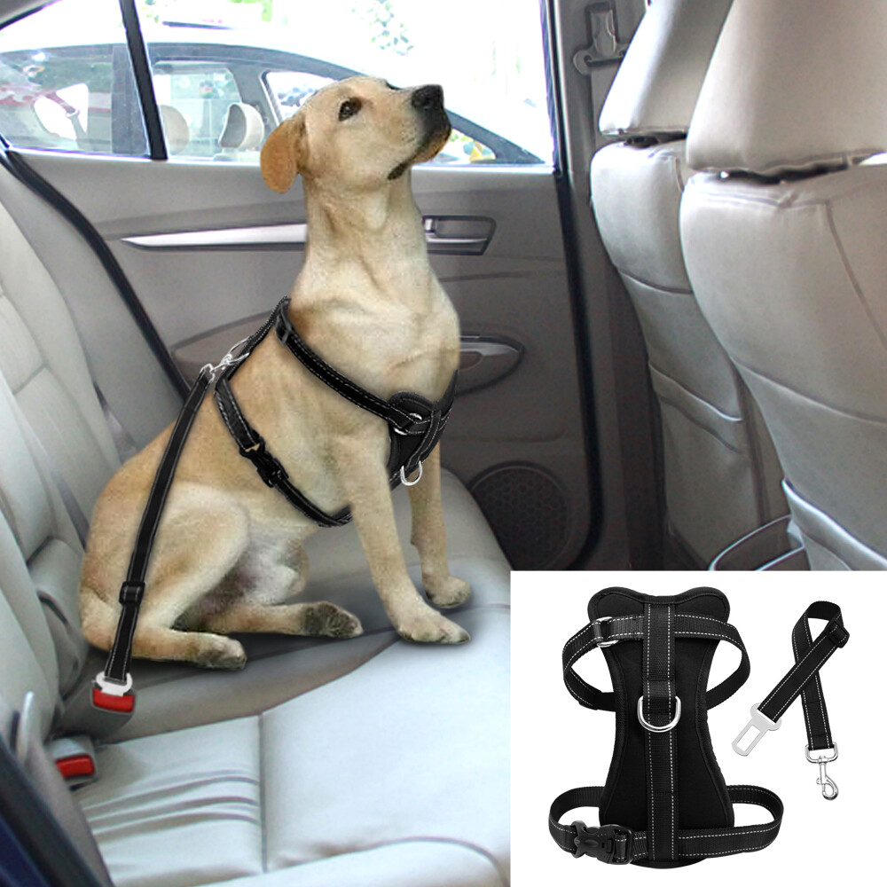 dog car harness
