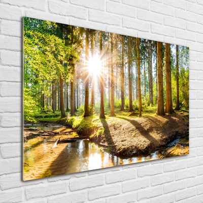 Glas-Bild Wandbilder Druck auf Glas 100x70 Deko Landschaften Wald Panorama
