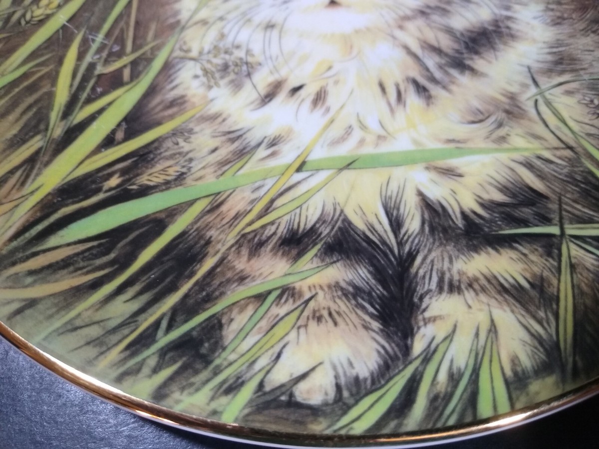 Royal Worcester Wild Flower Kitten Classics collector plate from