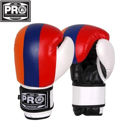ProBoxing  Leather Boxing Gloves - Armenina Flag - Premium Boxing Gloves, MMA