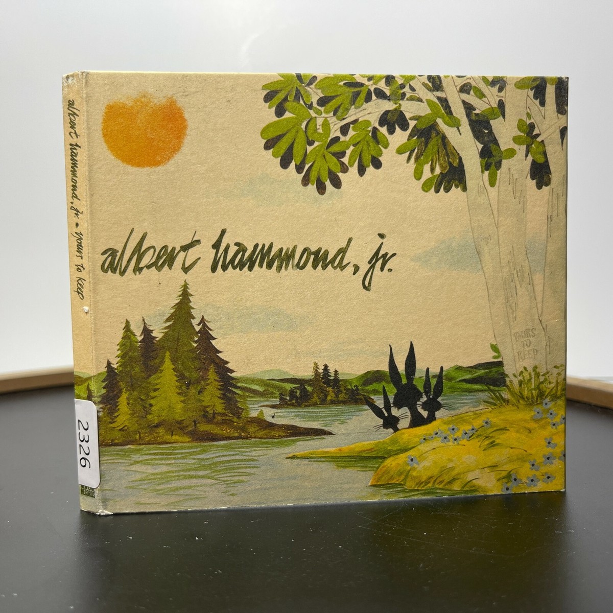 Albert Hammond Jr. Yours To Keep レコード LTI1OTkuanBlZw.jpeg