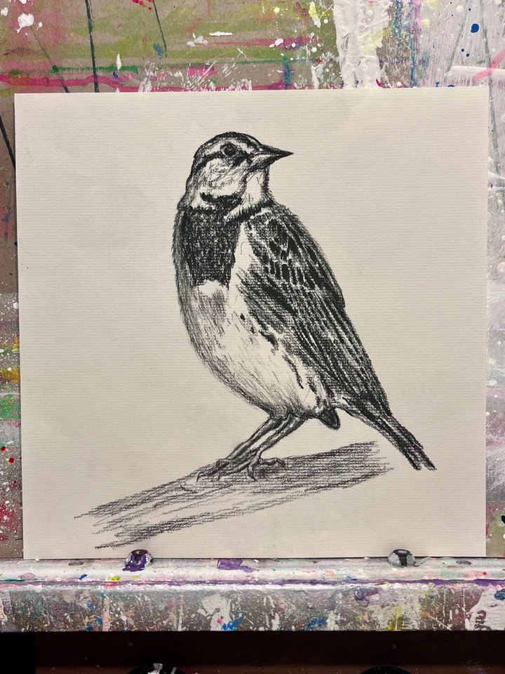 GUAJARDO Original Sketch Bird Study-2 10X10 Canvas Signed Art - Image 2 of 4