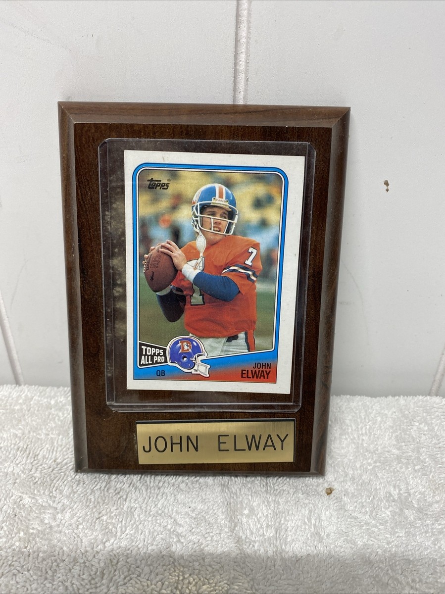 【NFL】JOHN ELWAY 直筆シルバーサインボール専用ケース入りCOA付き JOHN ELWAY PLAQUE DENVER BRONCOS FOOTBALL NFL C5 | eBay