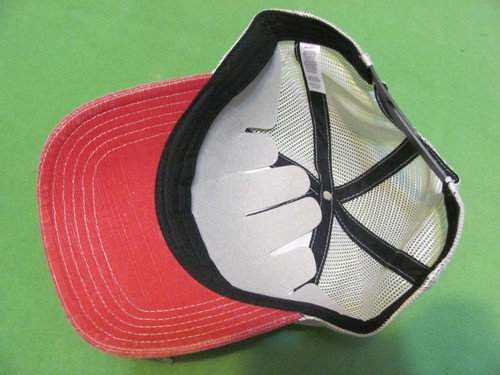 Dairyland Seed with W Logo Adjustable Snapback Mesh Trucker Hat/Cap - Picture 2 of 3