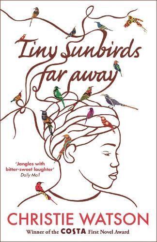 Christie Watson Tiny Sunbirds Far Away (Tascabile)
