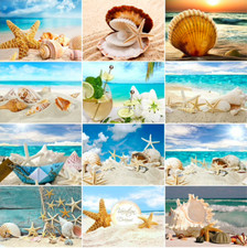 Paint by Number Kits Beach Shells Ocean DIY Acrylic Painting for Adults 16x20in