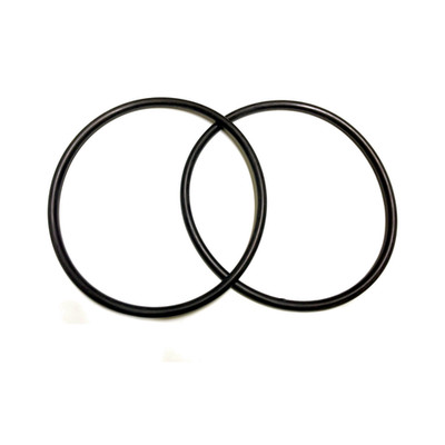 2 Pack Replacement Chlorinator O-ring For Pentair Rainbow 300/320 R172009 O-283