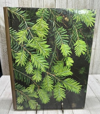 Vtg Evergreens The Time-Life Encyclopedia Of Gardening Hardcover Landscapping