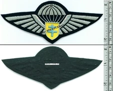 FREE FRENCH FORCES WWII PARACHUTE WINGS FRANCE F.F.L. BULLION