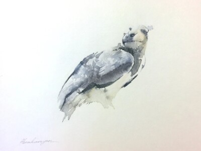 Crested Eagle,  Birds, Watercolor artwork, Handmade, Original painting on paper